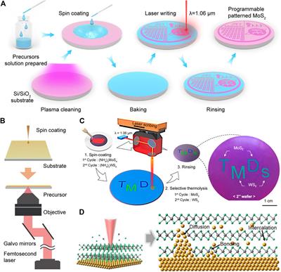 Laser-assisted synthesis of two-dimensional transition metal dichalcogenides: a mini review